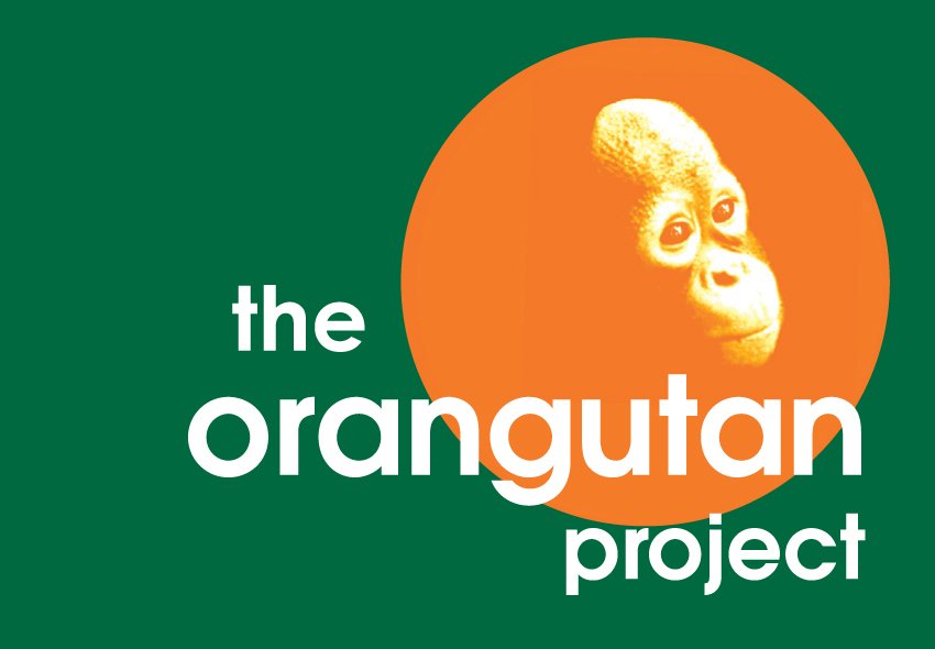Spendenbanner Bild the orangutan project Spendenbanner Bild the orangutan project