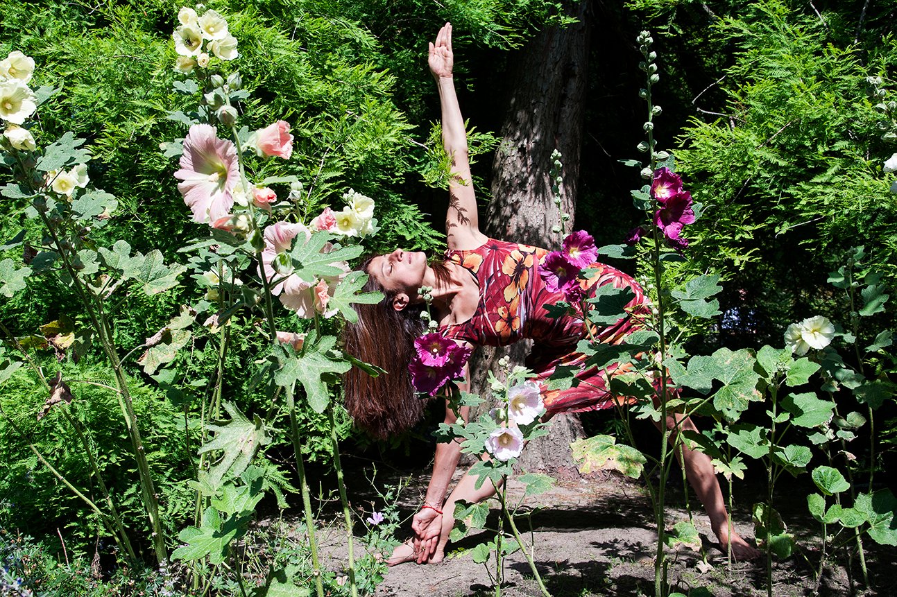 Kontakt Asaner Yoga